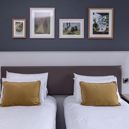 The - The Collection Group 4*