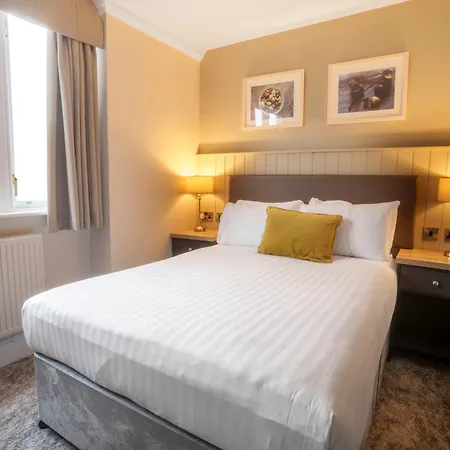 The - The Collection Group 4*