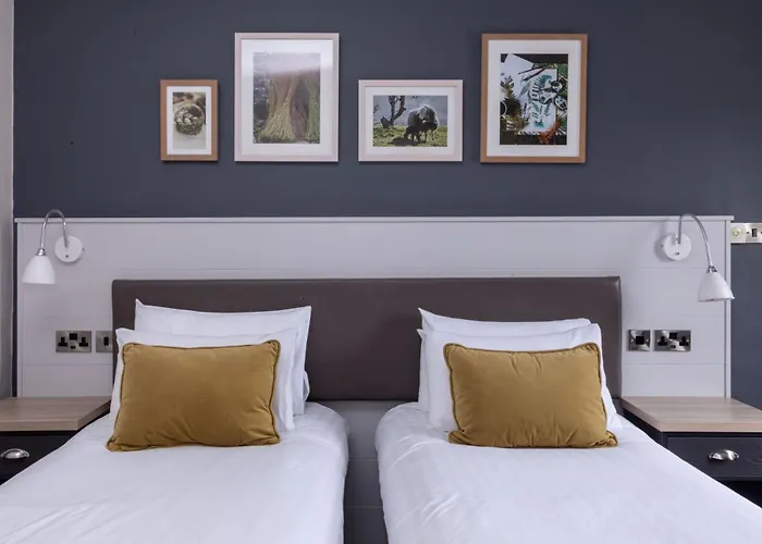 The - The Collection Group 4*