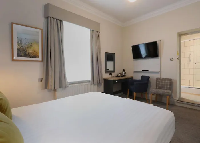 The - The Collection Group 4*