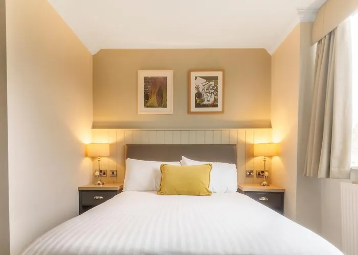 酒店 The - The Collection Group