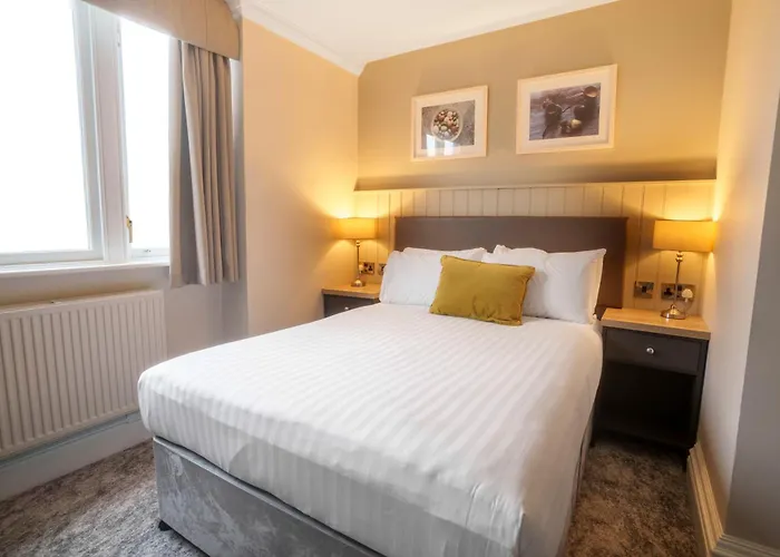 The - The Collection Group 4*