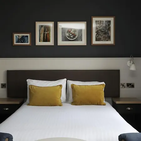 The - The Collection Group