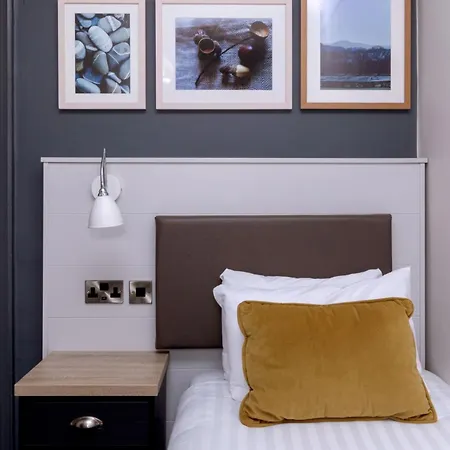 The - The Collection Group 4*