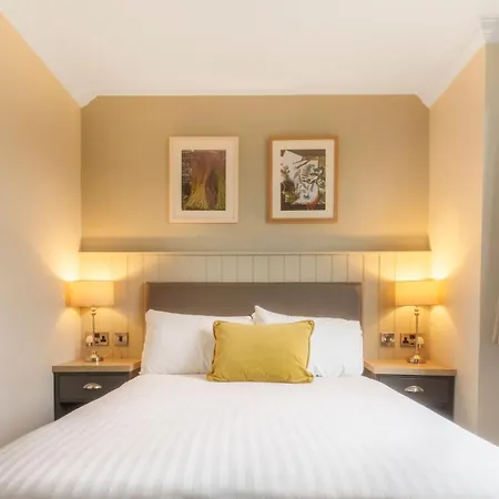 Otel The - The Collection Group